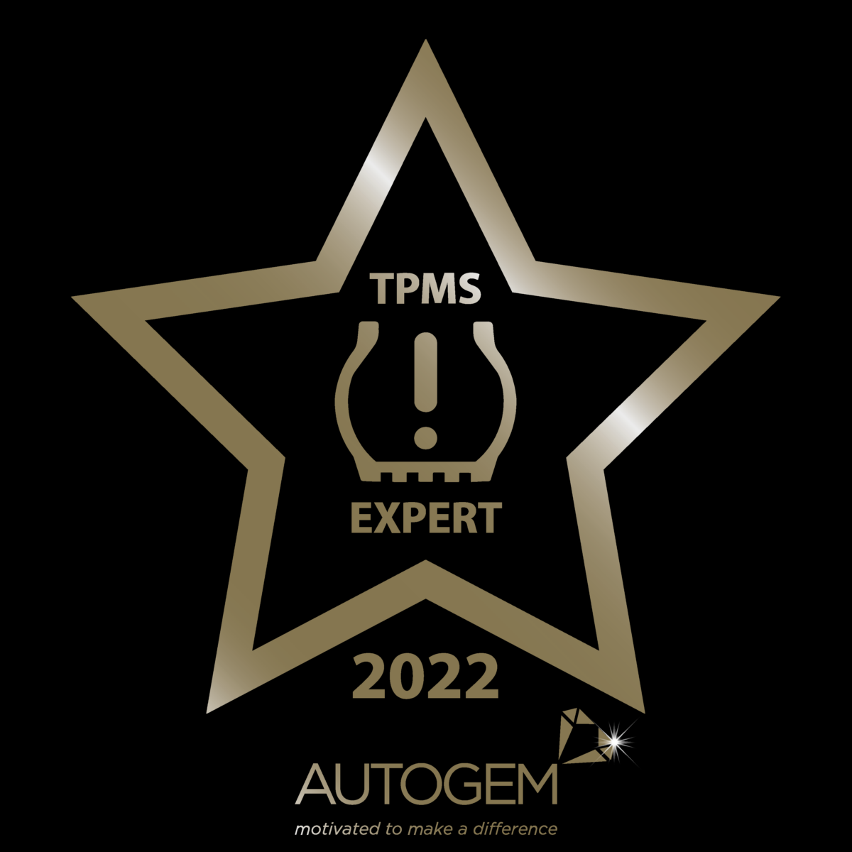TPMS Expert Award Logo Concepts